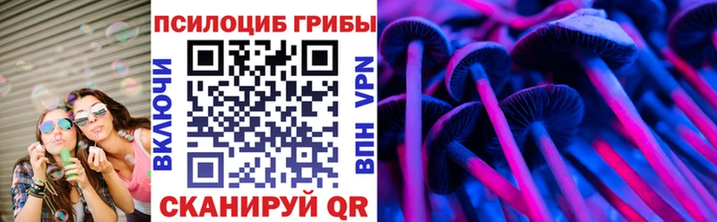 даркнет официальный сайт Шимановск Псилоцибиновые грибы GOLDEN TEACHER купить цена